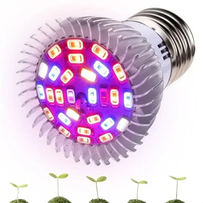 Wie wählt man die besten LED-Pflanzenlampen für einen kleinen Raum aus?