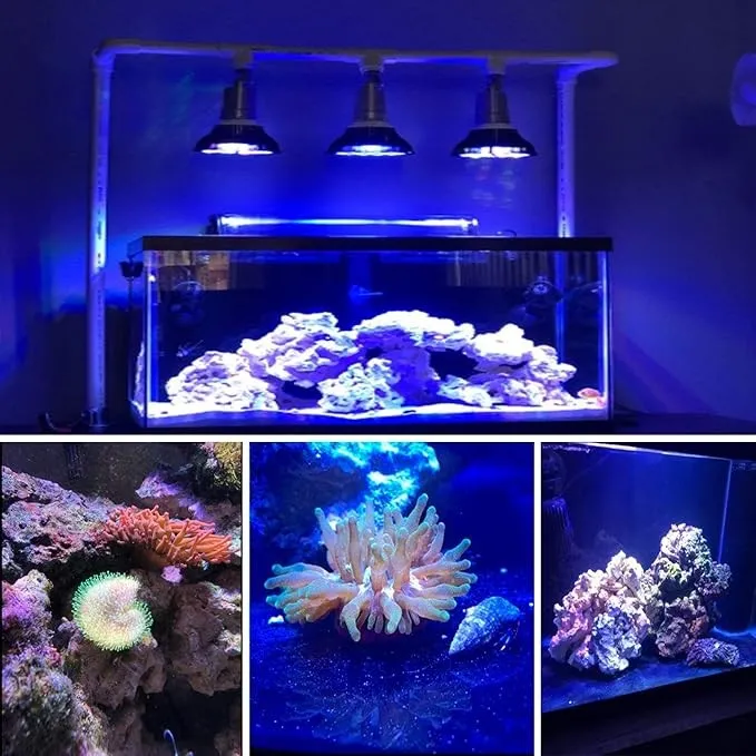 uv led aquarium light 06